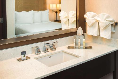 奥林匹亚奥林匹亚希尔顿逸林酒店的一间带水槽和大镜子的浴室