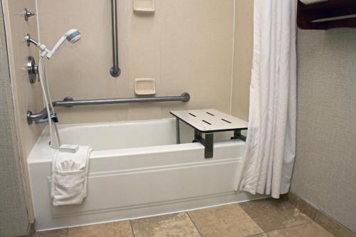 切萨皮克诺福克/切萨皮克汉普顿酒店 - 格林布赖尔区店的带浴缸和淋浴帘的浴室