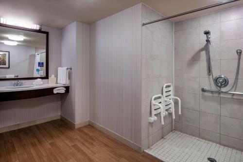 Devens德文斯康门希尔顿花园酒店的带淋浴和盥洗盆的浴室
