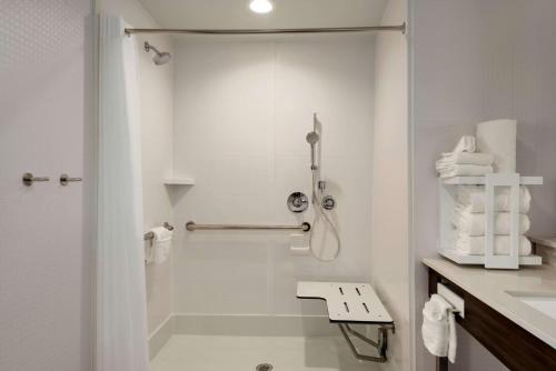 诺曼Hampton Inn & Suites Norman-Conference Center Area, Ok的带淋浴和盥洗盆的白色浴室