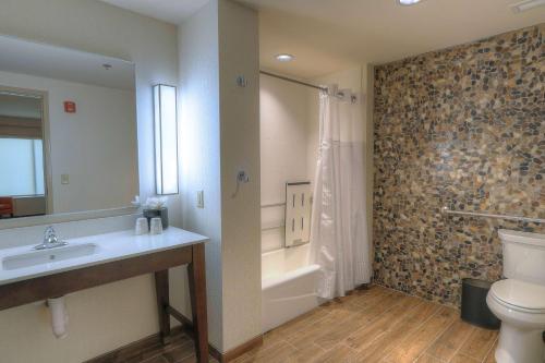 鸽子谷鸽子谷希尔顿花园酒店的一间带水槽、卫生间和淋浴的浴室