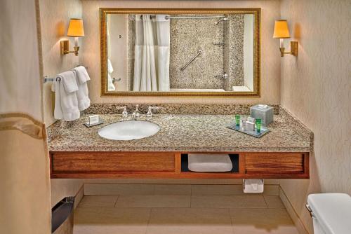费城费城机场希尔顿逸林酒店的一间带水槽和镜子的浴室