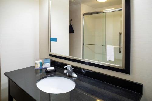 Limerick汉普顿酒店利默里克的一间带水槽和大镜子的浴室