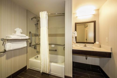 奥克斯福吉谷/奥克斯希尔顿花园酒店的带浴缸、水槽和淋浴的浴室