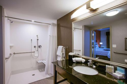 本赛霖姆费城/萨勒汉普顿套房酒店的一间带水槽、淋浴和镜子的浴室