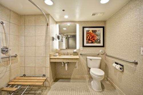 凤凰城凤凰城北希尔顿逸林酒店的一间带卫生间和水槽的浴室