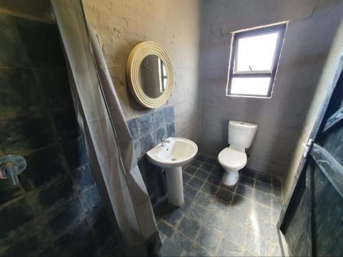 Dinokeng Game ReserveHorizon Savannah的一间带卫生间、水槽和镜子的浴室