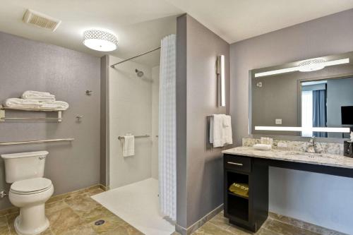波基普西Homewood Suites By Hilton Poughkeepsie的一间带卫生间、水槽和镜子的浴室