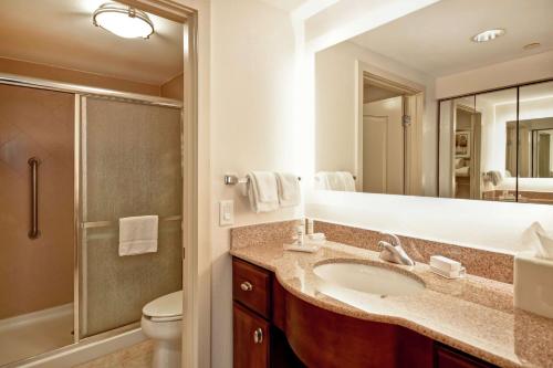 多佛多佛希尔顿惠庭套房酒店的一间带水槽、卫生间和镜子的浴室