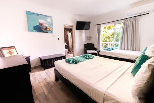 蓬塔卡纳Hostal Las Rosas de Punta Cana的酒店客房设有两张床和窗户。
