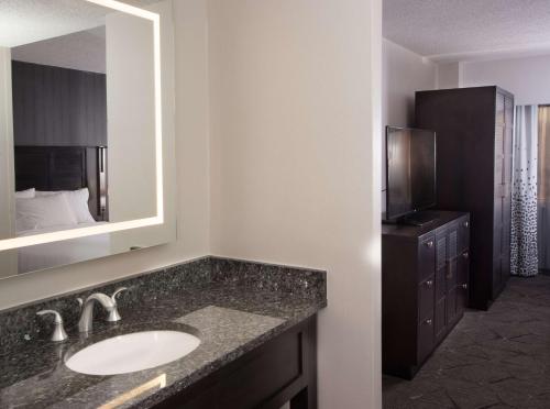 罗利Embassy Suites by Hilton Raleigh Crabtree的一间带水槽和镜子的浴室
