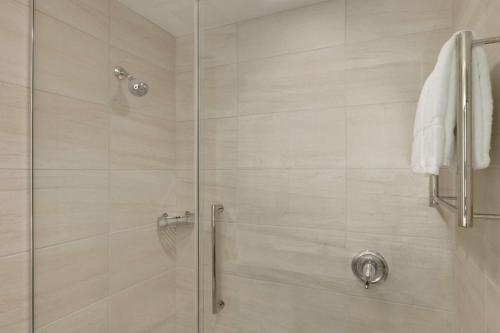 罗切斯特Hilton Garden Inn Rochester - University & Medical Center的带淋浴的浴室和玻璃门