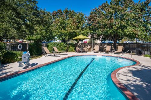 圣安东尼奥Hampton Inn San Antonio Stone Oak的庭院内一个带椅子和树木的大型游泳池