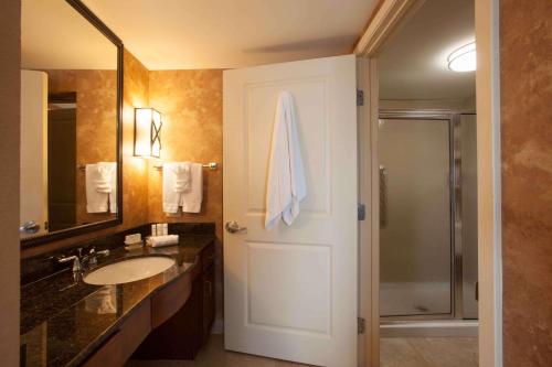 圣安东尼奥圣安东尼奥北希尔顿霍姆伍德套房酒店的一间带水槽、淋浴和镜子的浴室