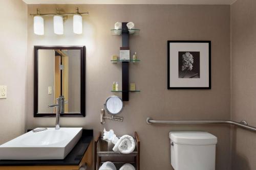 萨凡纳萨凡纳机场希尔顿逸林酒店的一间带水槽、镜子和卫生间的浴室