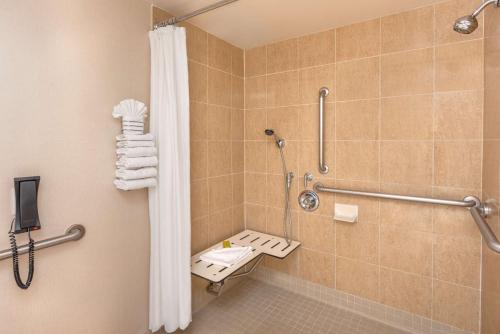圣贝纳迪诺圣贝纳迪诺希尔顿逸林酒店的带淋浴和卫生间的浴室