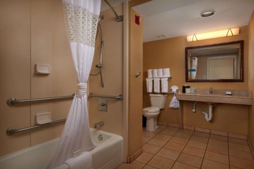 斯科茨菲尼克斯/斯科茨代尔汉普顿酒店的带浴缸、卫生间和盥洗盆的浴室