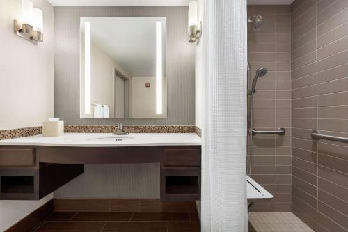 路易斯威尔路易斯维尔市中心希尔顿花园酒店的一间带水槽和镜子的浴室