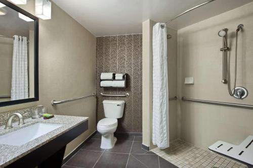 布里奇顿Embassy Suites by Hilton St Louis Airport的浴室配有卫生间、盥洗盆和淋浴。
