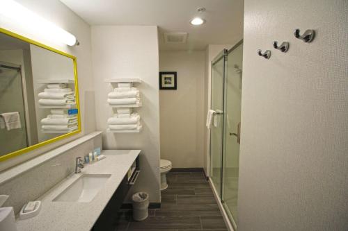 West PlainsHampton Inn West Plains的一间带水槽、淋浴和卫生间的浴室