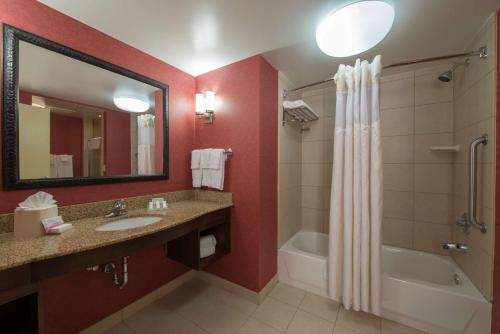 图珀洛图珀洛希尔顿花园酒店的一间带水槽、浴缸和镜子的浴室