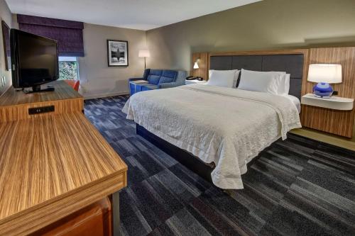 邓弗里斯邓弗里斯/匡蒂科汉普顿酒店的配有一张床和一台平面电视的酒店客房
