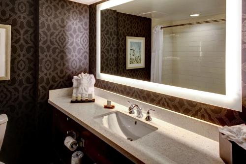 威廉斯堡威廉斯堡大使馆套房酒店的一间带水槽和镜子的浴室