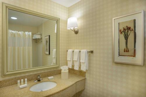 乔普林乔普林希尔顿花园旅馆的一间带水槽和镜子的浴室