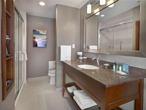 哈利法克斯哈利法克斯市中心汉普顿酒店的一间带水槽、镜子和卫生间的浴室