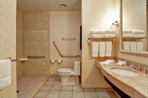 渥太华渥太华机场希尔顿花园酒店的浴室配有卫生间、盥洗盆和淋浴。