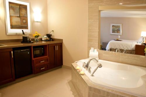 布兰普顿汉普顿布兰普顿多伦多希尔顿酒店的一间带大浴缸和大镜子的浴室