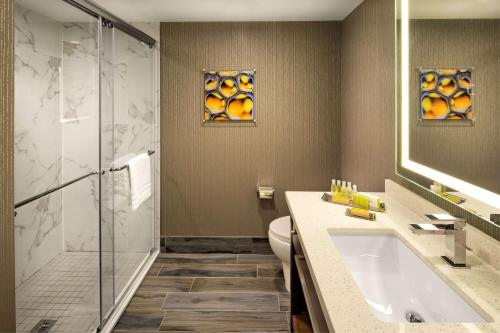 多伦多多伦多机场希尔顿逸林酒店的带淋浴、盥洗盆和卫生间的浴室