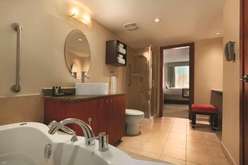 蒙特利尔蒙特利尔希尔顿合博套房酒店的一间带水槽、卫生间和镜子的浴室