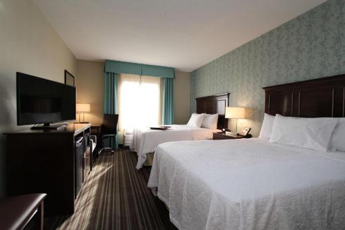圣约翰斯圣约翰斯机场希尔顿汉普顿酒店的酒店客房设有两张床和一台平面电视。