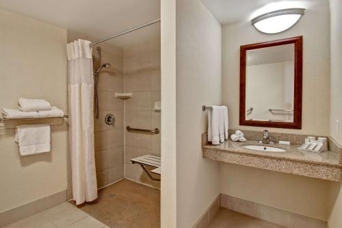 伯灵顿多伦多伯林顿希尔顿花园酒店的一间带水槽和淋浴的浴室