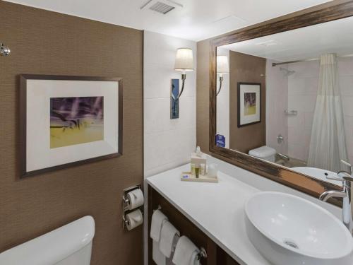 哈里斯堡Hilton Harrisburg near Hershey Park的一间带水槽和镜子的浴室