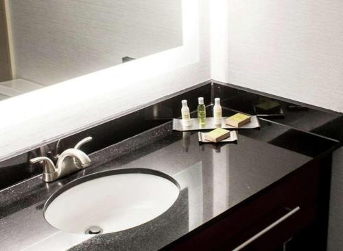夏洛茨维尔夏洛特维尔希尔顿逸林酒店的浴室的柜台设有水槽和镜子