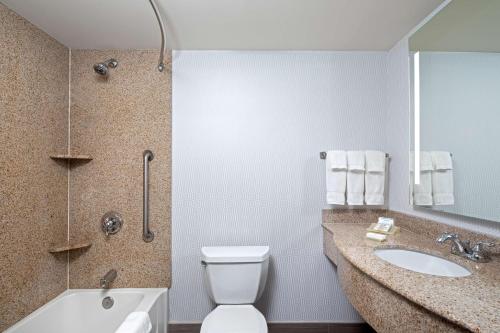恩菲尔德哈利法克斯机场希尔顿花园酒店的浴室配有卫生间、盥洗盆和浴缸。