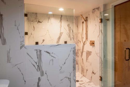 圣地亚哥圣地亚哥市中心希尔顿逸林酒店的带淋浴、盥洗盆和镜子的浴室