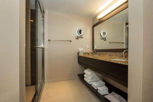 温尼伯温尼伯机场希尔顿套房酒店的一间带水槽和镜子的浴室