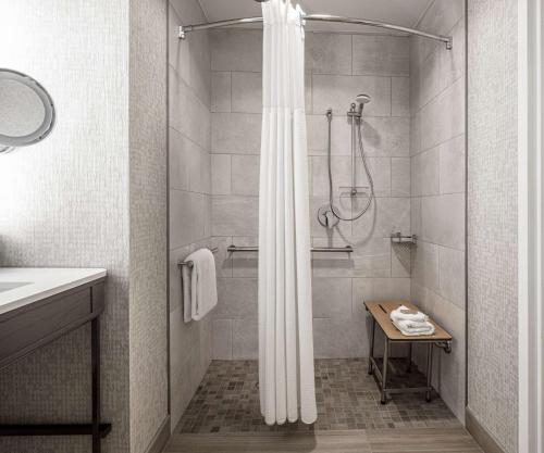 奥斯汀希尔顿奥斯汀机场酒店的带淋浴和浴帘的浴室