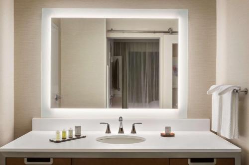 麦卡伦麦卡伦会展中心大使馆希尔顿套房酒店的一间带水槽和大镜子的浴室