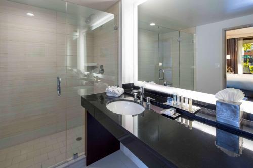 纽瓦克纽瓦克 - 弗里蒙特希尔顿逸林酒店的一间带水槽和大镜子的浴室