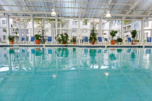 劳雷尔山希尔顿逸林月桂树山套房酒店的大楼内带蓝色椅子的大型游泳池