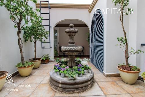 墨西哥城Capitalia - Apartments - Juan Racine的植物繁茂的房屋庭院中的喷泉