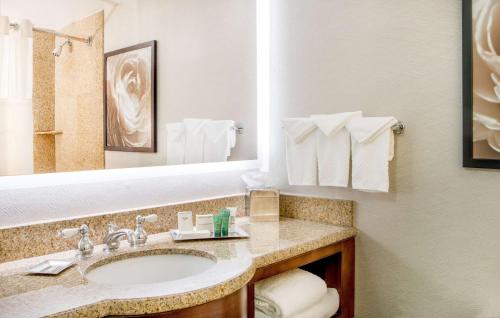 纽瓦克威尔明顿/克里斯蒂安娜希尔顿酒店的浴室配有盥洗盆、镜子和毛巾