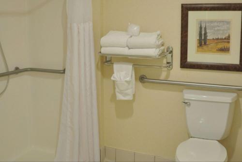 盖茨堡葛底斯堡希尔顿花园酒店的带淋浴、卫生间和毛巾的浴室