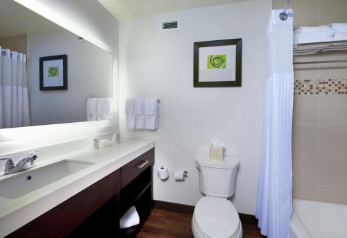 匹兹堡匹兹堡市中心希尔顿花园酒店的一间带卫生间、水槽和镜子的浴室