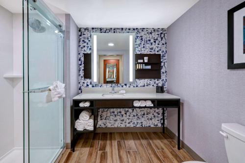 锡达拉皮兹Hilton Garden Inn Cedar Rapids的一间带水槽和镜子的浴室