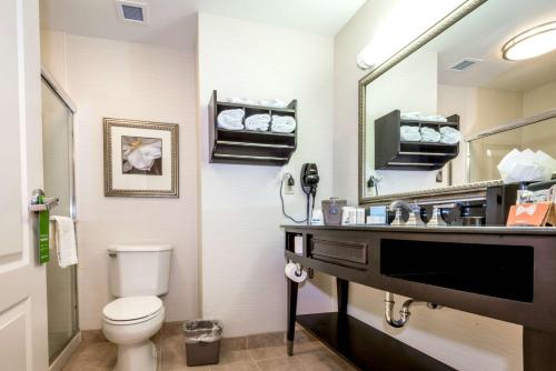 蒙哥马利蒙哥马利市中心汉普顿套房酒店的一间带卫生间、水槽和镜子的浴室
